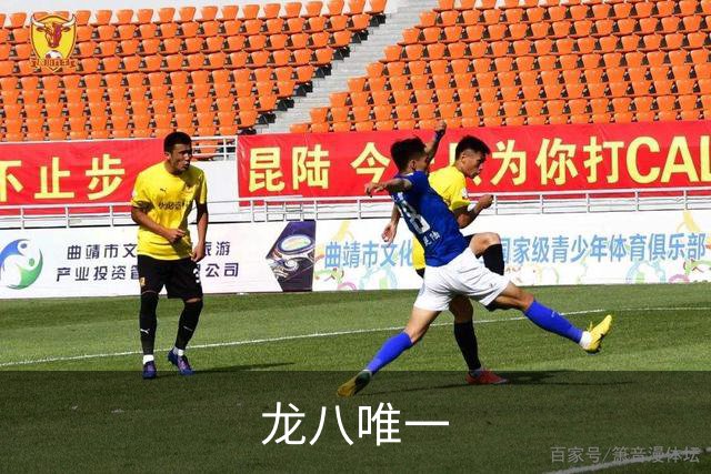 龙八唯一公司简介